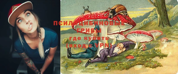 гашиш Новодвинск