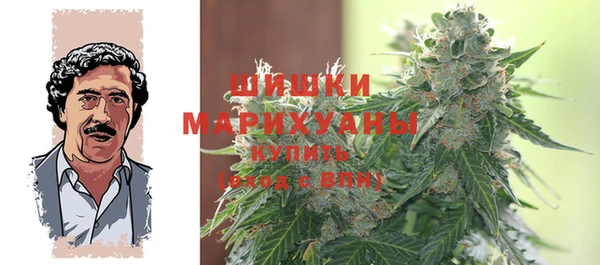 spice Новозыбков