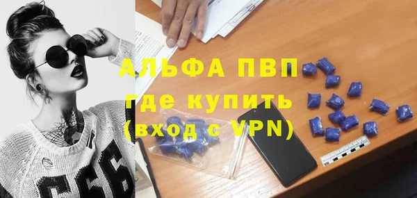 spice Новозыбков