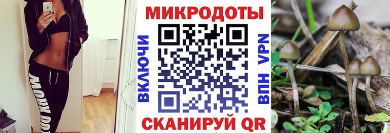 Псилоцибиновые грибы мухоморы  что такое наркотик  Чишмы 